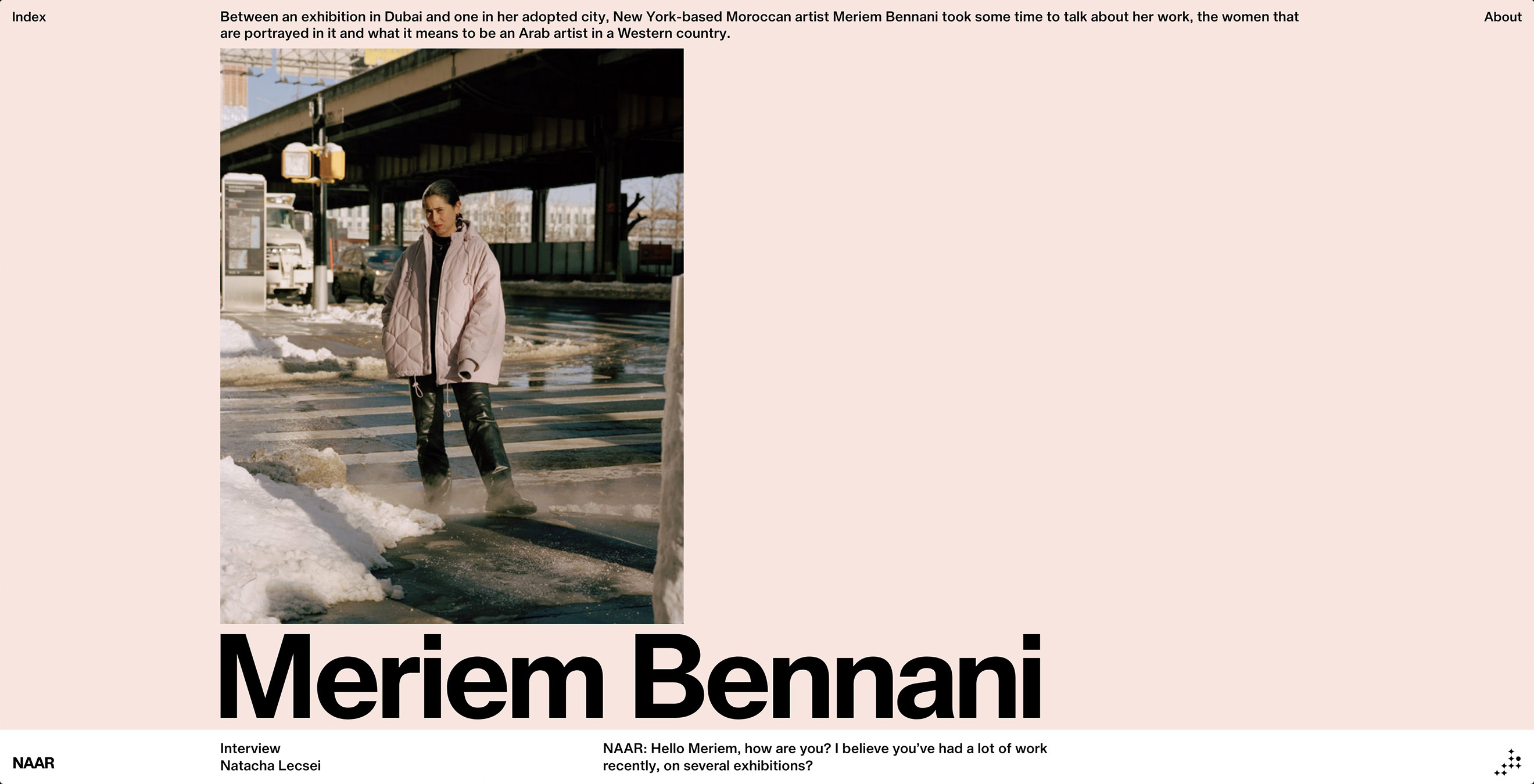 Montasser Drissi, NAAR Website, 2018